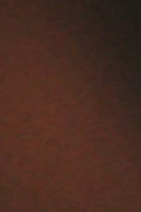 Oryza Rizqullah MF., S.lp.